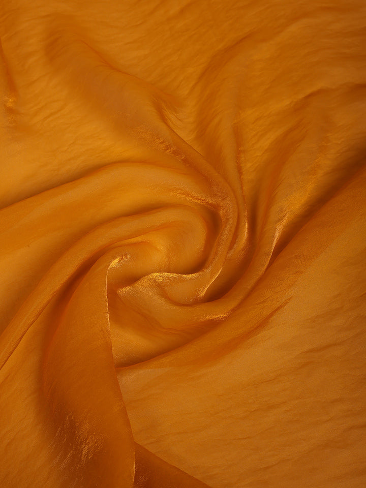 Embroidered Organza Saree