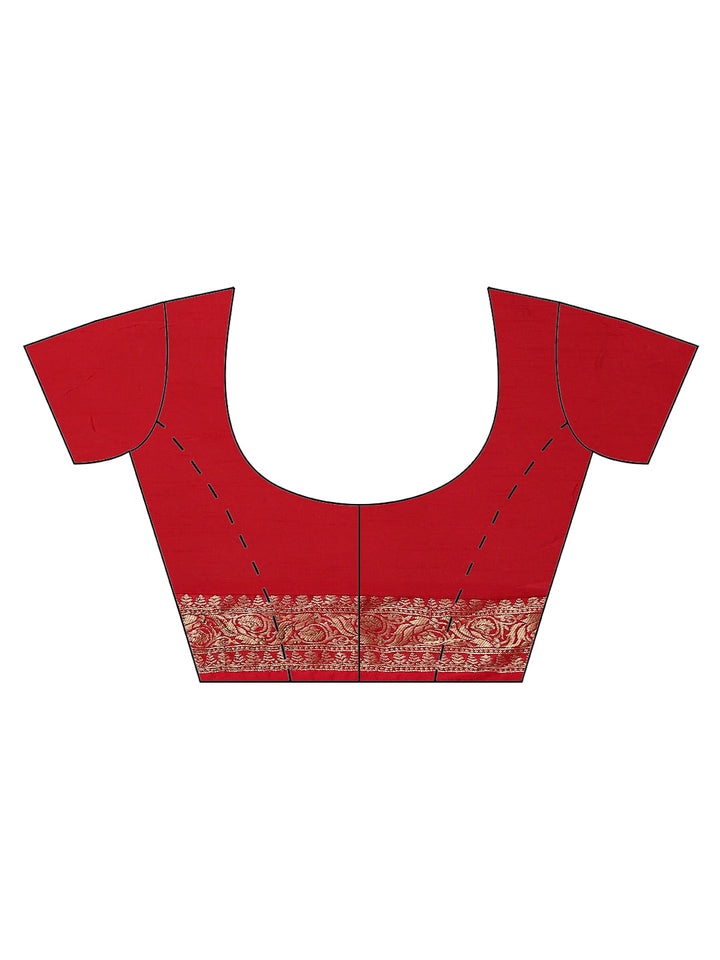 Embroidered Organza Saree