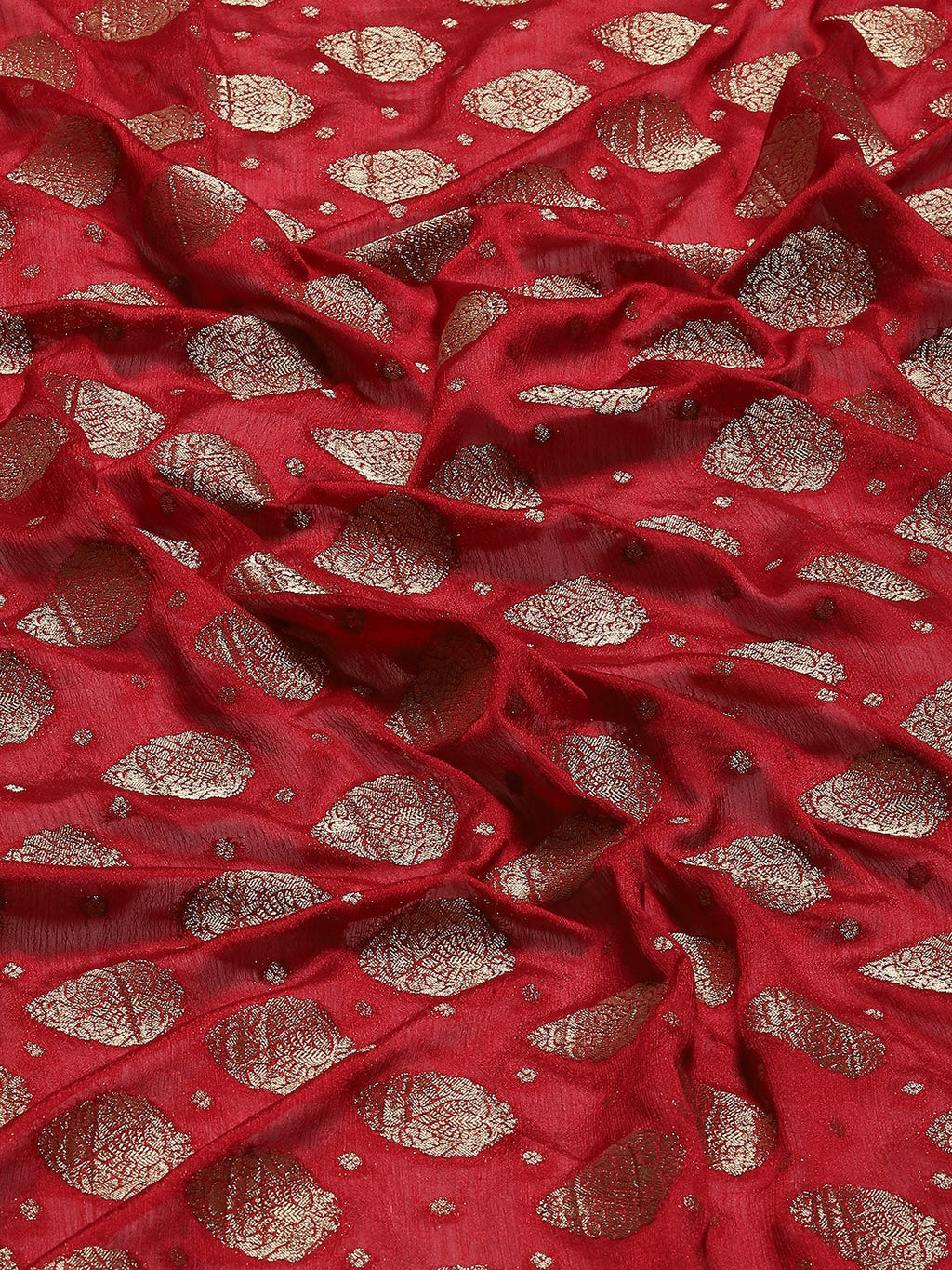 Zari Border Plain Georgette Saree