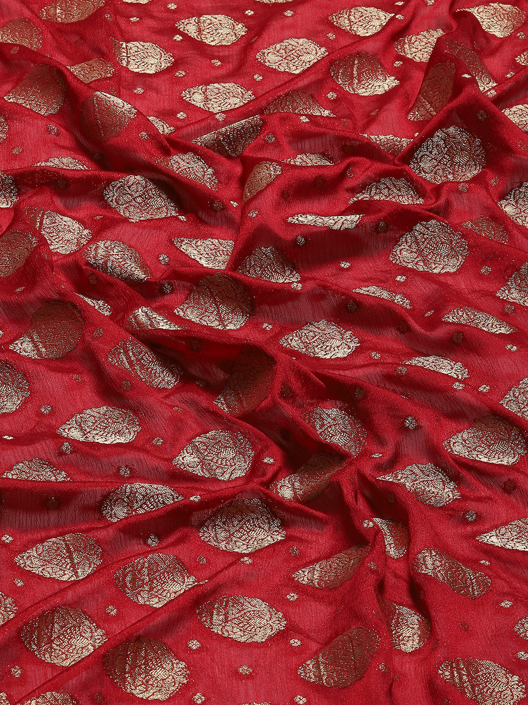 Zari Border Plain Georgette Saree