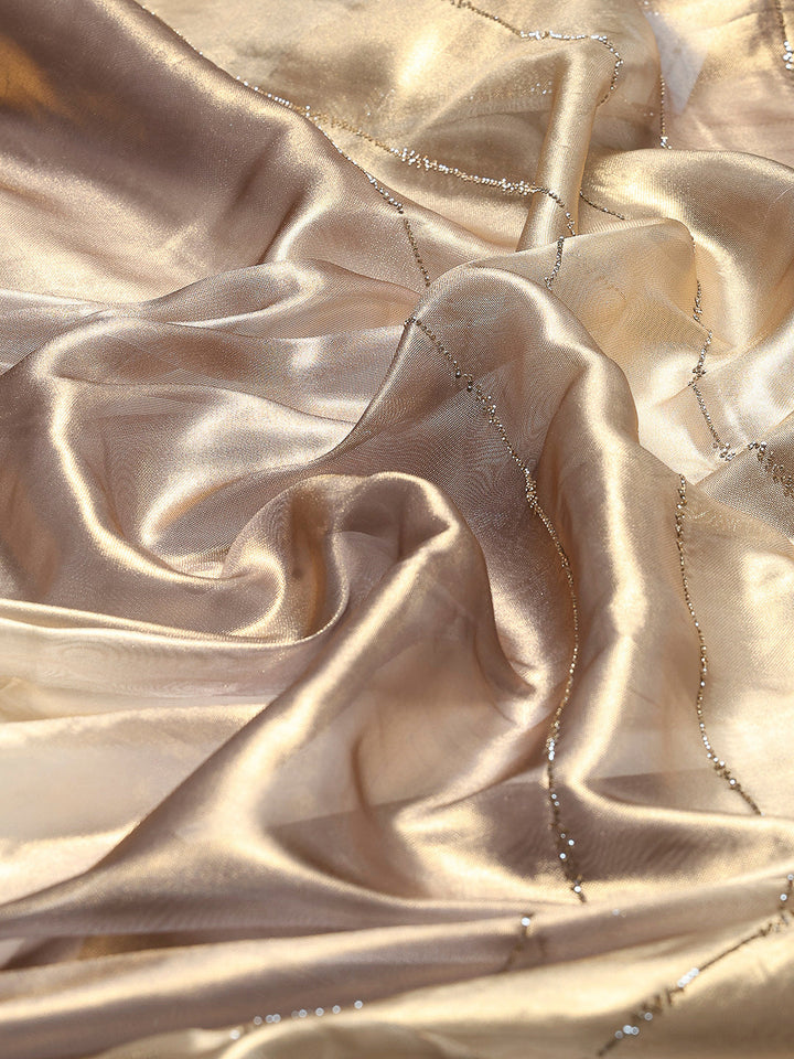 Stone Embellished Tissue Saree