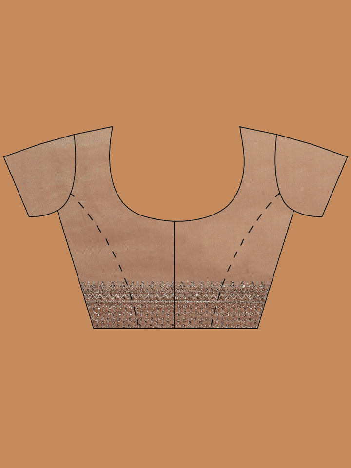 Sequence Embroidery Tissue Saree