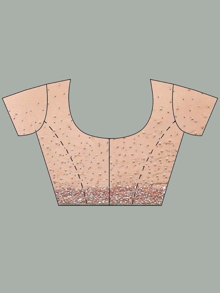 Stone Embroidered Tissue Saree