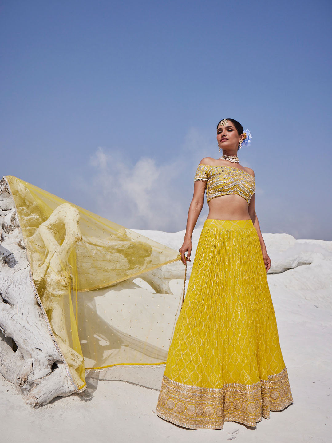Mirror Embroidered Georgette Choli With Lehenga &amp; Dupatta