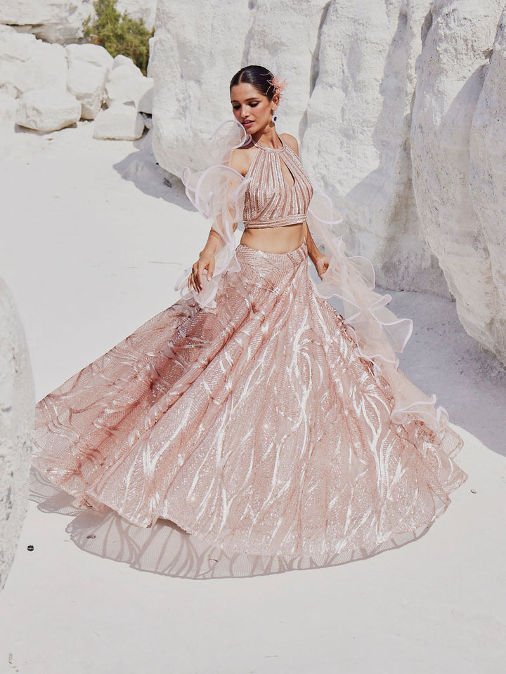 Sequin Embroidered Net Choli With Lehenga &amp; Dupatta
