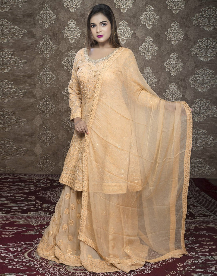 georgette embroidered peplum with skirt
