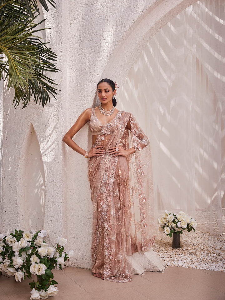 Cutdana &amp; Sequin Work Embroidery Net Saree