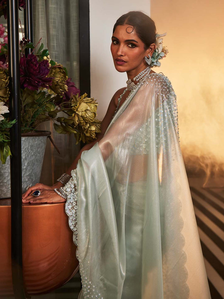 Embroidered Tissue Saree