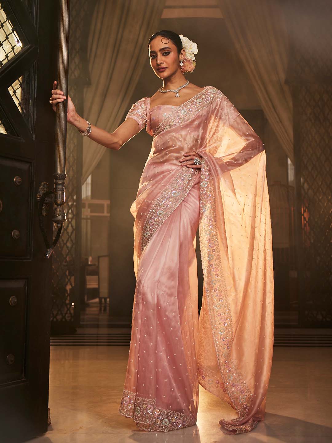 Booti Embroidered Tissue Saree