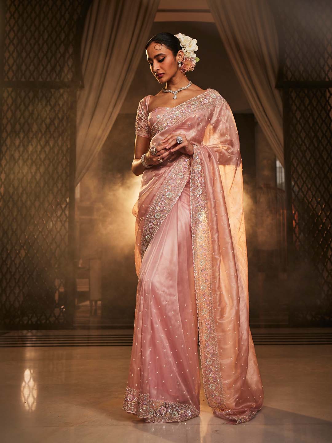 Booti Embroidered Tissue Saree