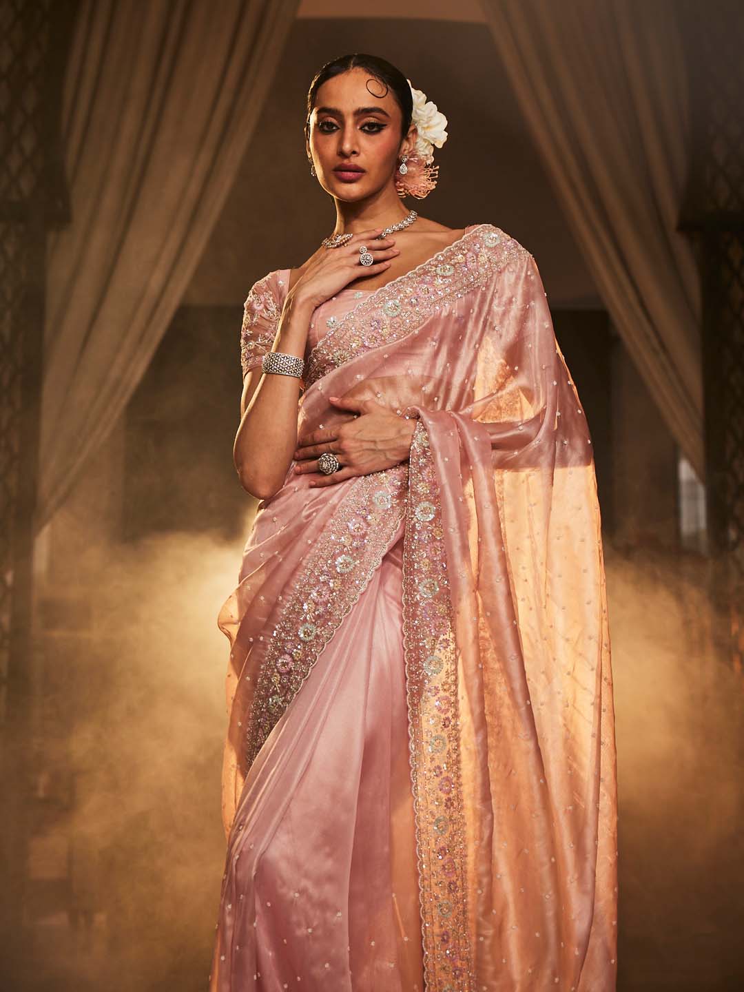 Booti Embroidered Tissue Saree