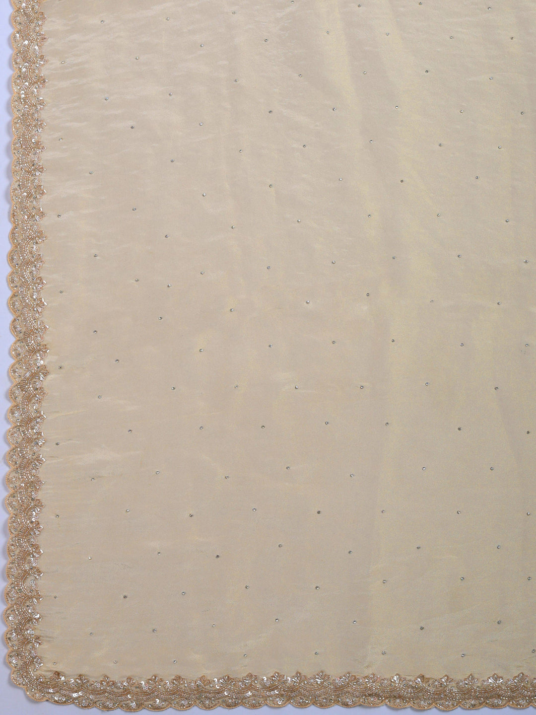 Beige Embroidered Tissue Saree