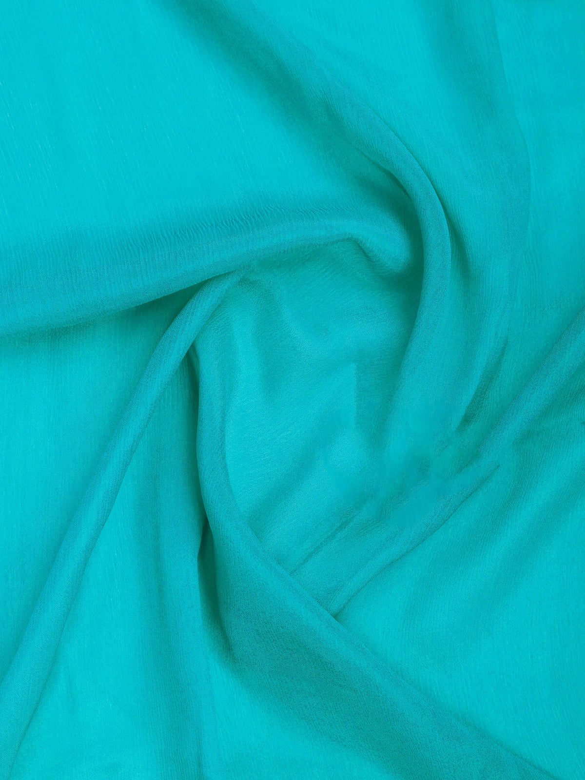 Firozee Zari Work Chiffon Saree