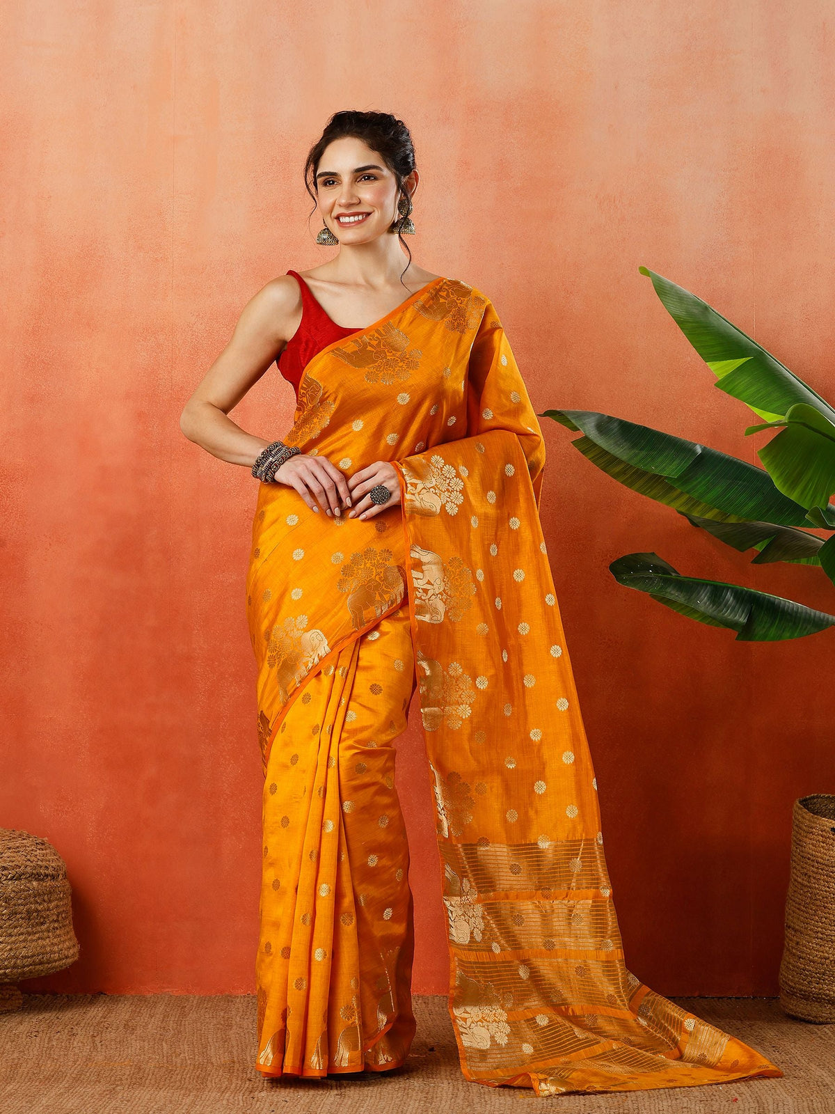 Woven Design Tussar Silk Saree