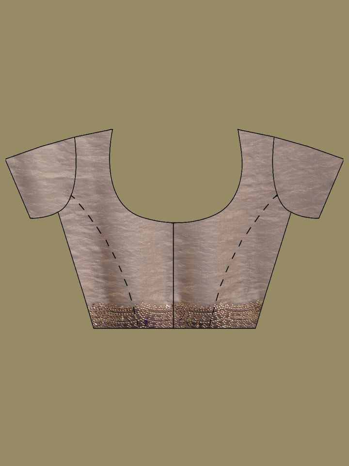 Brown Embroidered Organza Saree