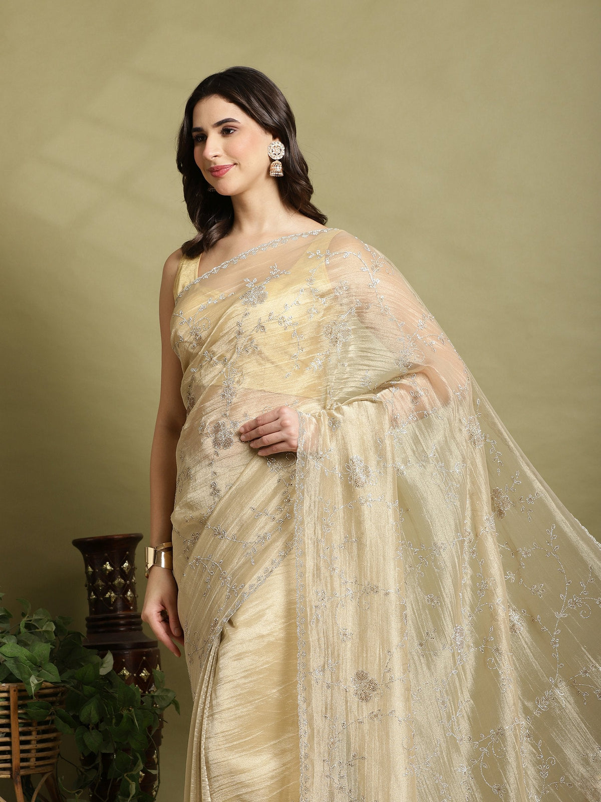 Beige Embroidered Tissue Saree